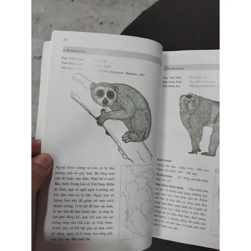 Giới thiệu một số loài thú của Đông Dương và Thái Lan 975216