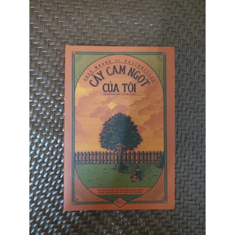 Cây cam ngọt của tôi 1063298