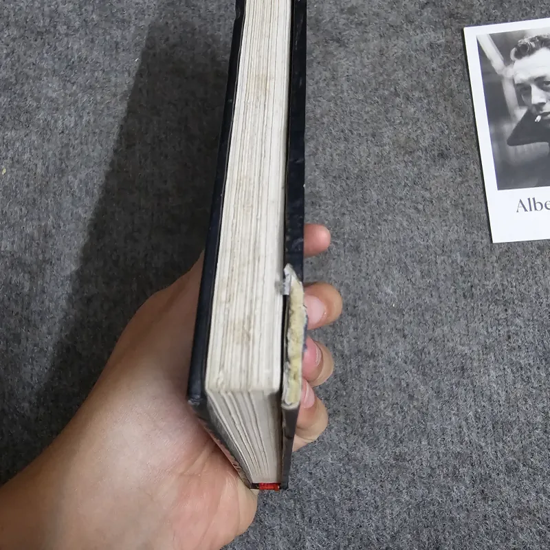 Vấn đề con người và chủ nghĩa " lý luận không có con người"-  trần đức thảo 1039471