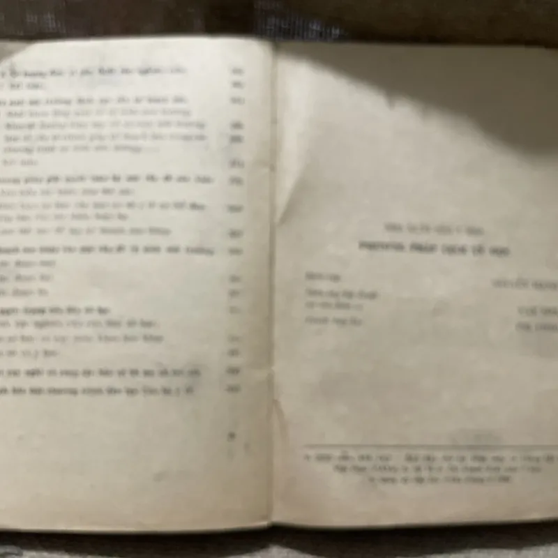 Phương pháp dịch tiểu học-320 trang Bác sĩ NGUYỄN VĂN TRUYỀN  800206