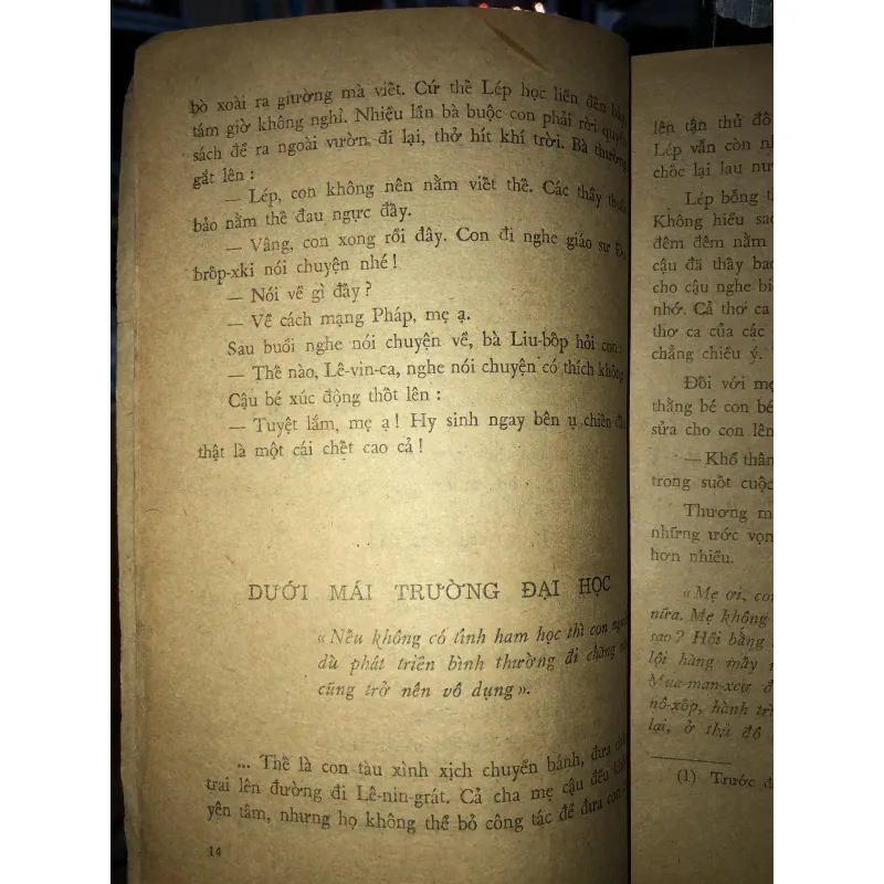 Lep. Lan-đao - Nguyễn Như Mai - Nguyễn Đăng 786001