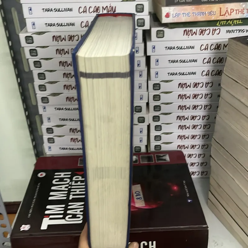 Lâm sàng tim bẩm sinh 738757