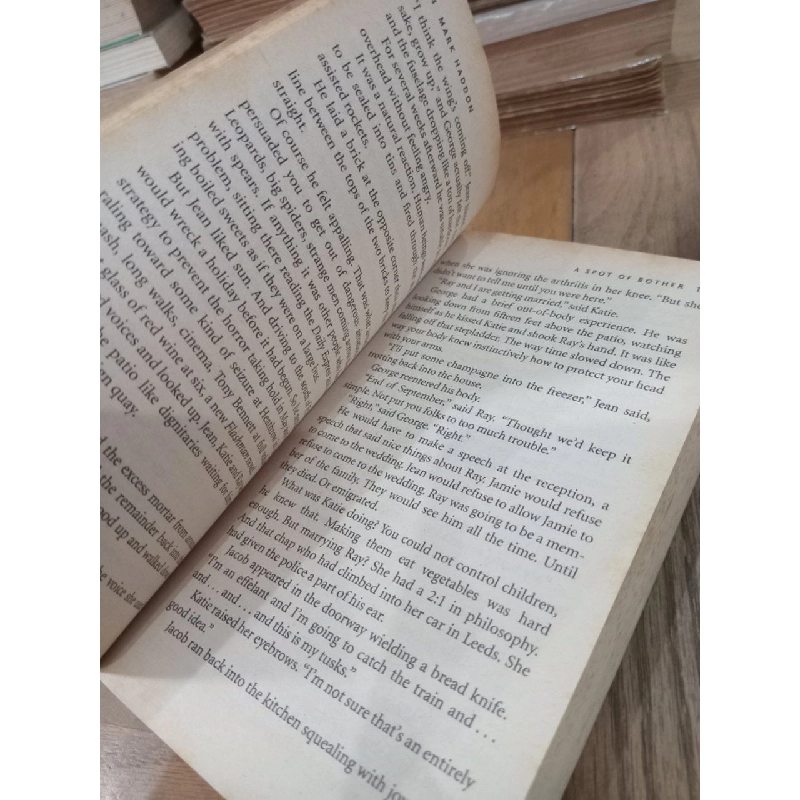 A Spot of Bother - Mark Haddon 1059319