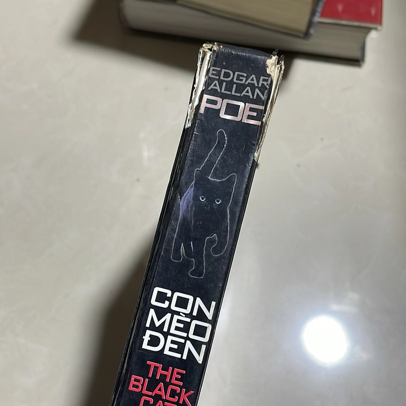 Con mèo đen - Edgar Allan Poe 518110
