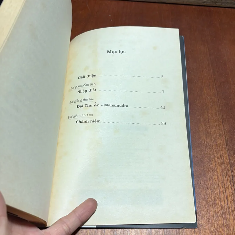 Ba Bài Pháp Thoại (Về Nhập Thất, Đại Thủ Ấn Và Chánh Niệm) - Đại Sư Jetsunma Palmo - 2019 927757