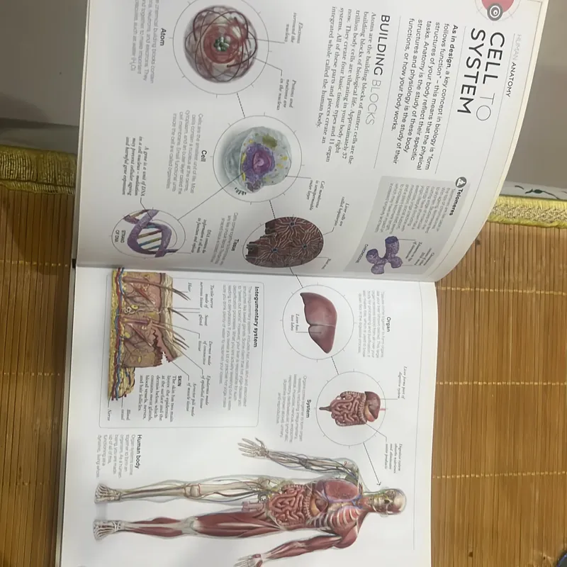 Science of yoga 713724