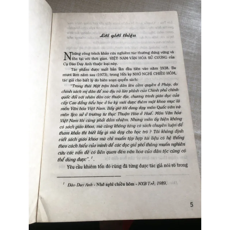 Việt Nam văn hoá sử cương - Đào Duy Anh  968649