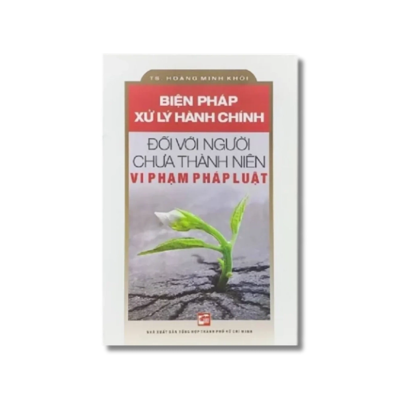 Biện pháp xử lý hành chính đối với người chưa thành niên vi phạm pháp luật - Hoàng Minh Khôi 721378