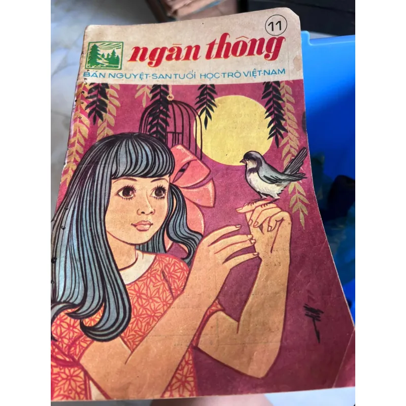 NGÀN THÔNG - VI VI 995495