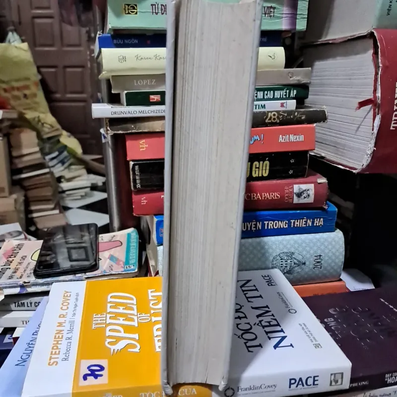 Sách in năm 2002,sách phong thủy tử vi 993843