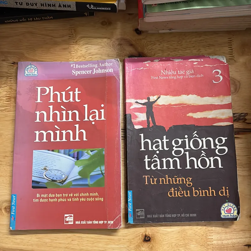 II Combo Sách: Phút Nhìn Lại + Hạt Giống Tâm Hồn _ Từ Những Điều Bình Dị 698018