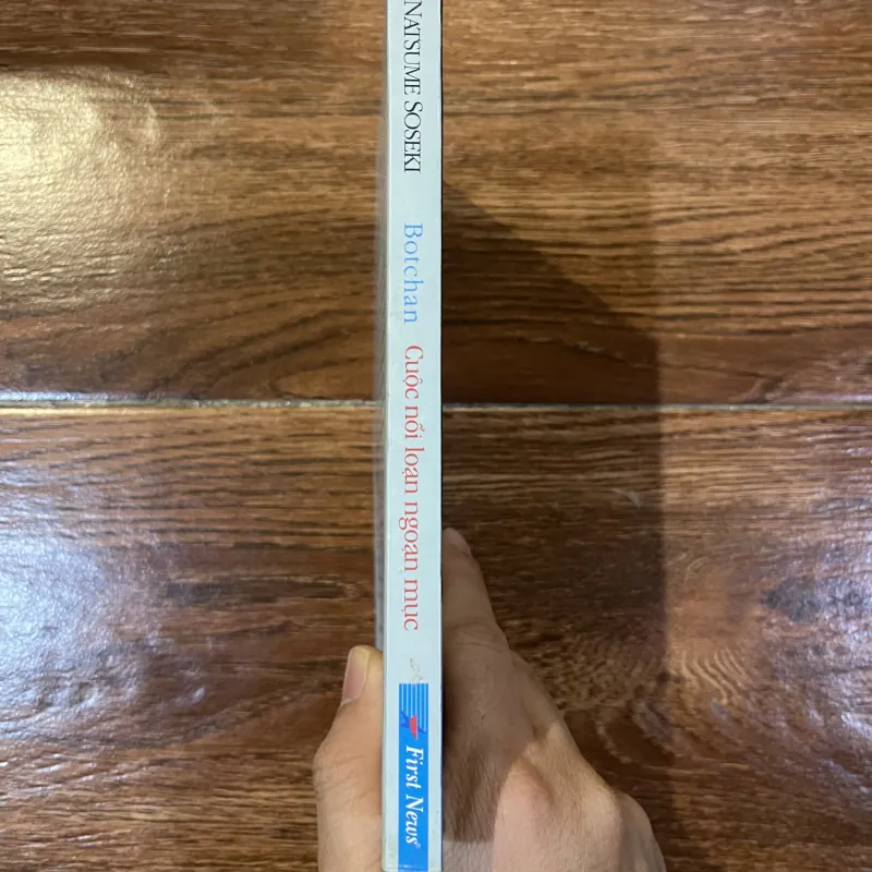 Cuộc Nổi Loạn Ngoạn Mục – Natsume Soseki (6) 971098