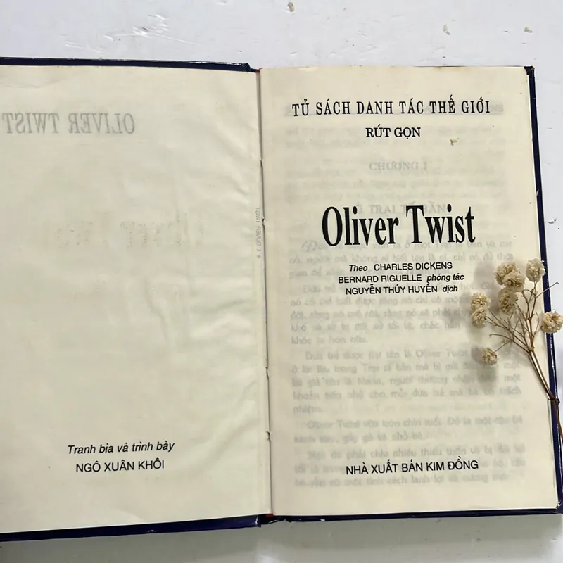 Oliver Twist - Charles Dickens (Bản bìa cứng bỏ túi) 598033