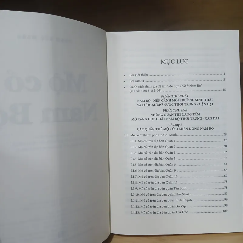 Mộ Cổ Nam Bộ - Phạm Đức Mạnh 1003658