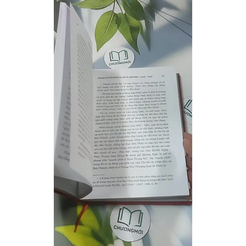 Lịch sử Đảng bộ xã Đức Chánh - Quảng Ngải ( 1930 - 2020 ) 688599