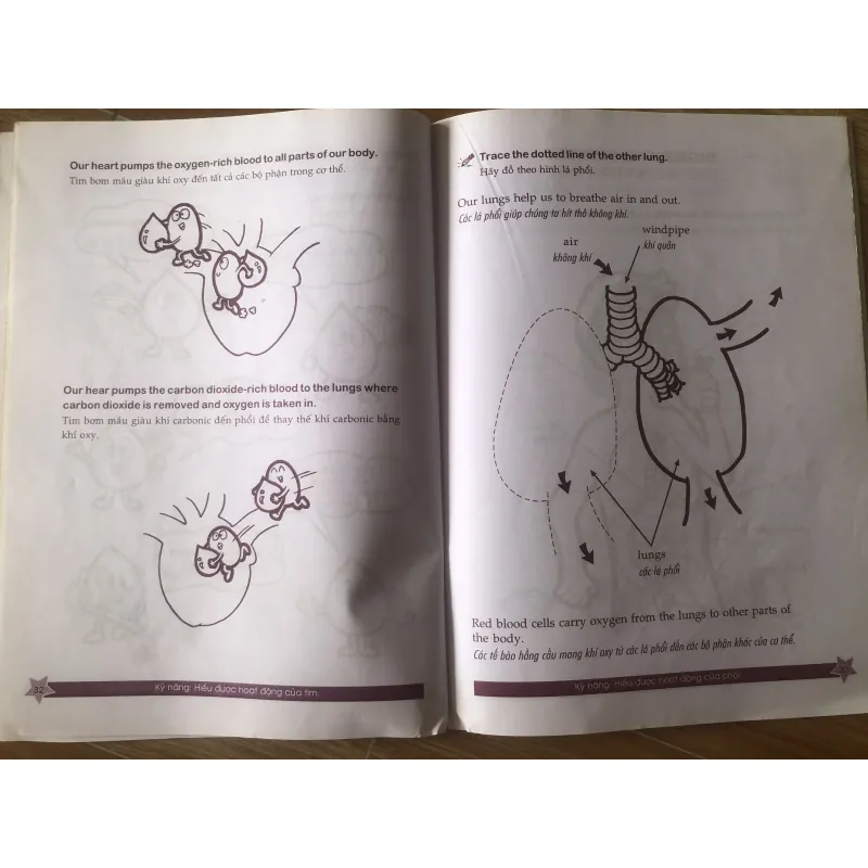 Cùng khám phá tiếng anh - Môi trường Sống - 3A 1004065