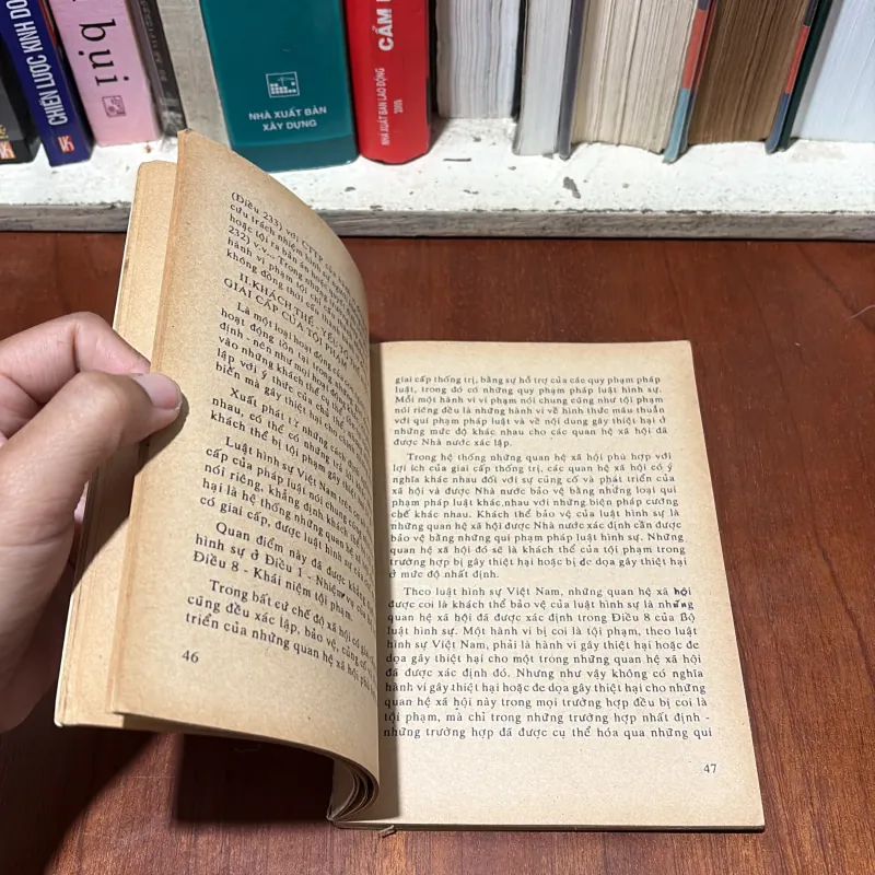 II Sách Tội Phạm: Tội Phạm Trong Luật Hình Sự Việt Nam - Nguyễn Ngọc Hoà - 1991 748213