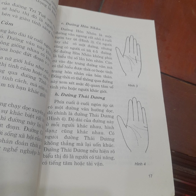 BÀN TAY - Mã số cuộc đời 497271