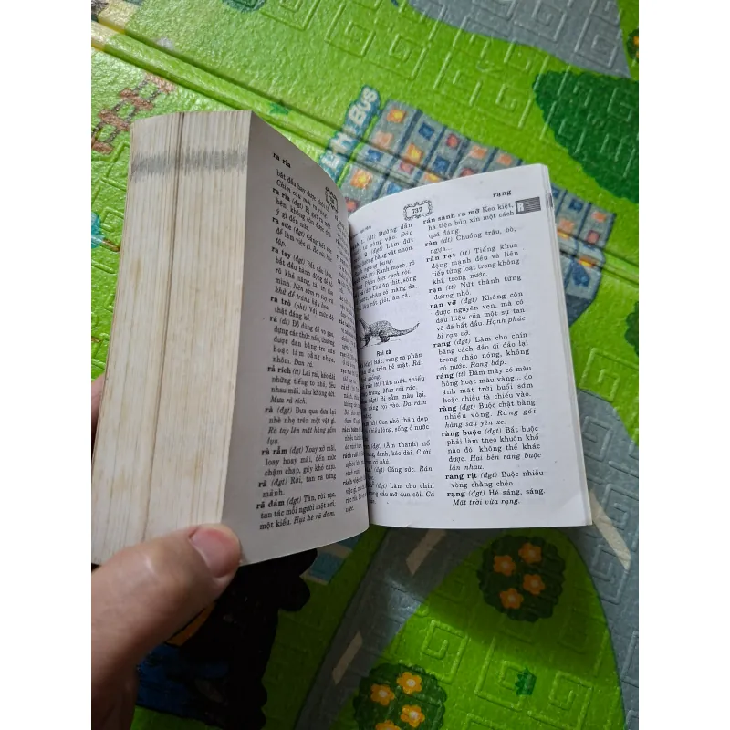 Từ điển Tiếng Việt 785168