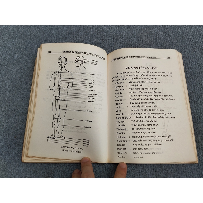 NHÂN DIỆN - NHỮNG PHÁT HIỆN VÀ ỨNG DỤNG 504710
