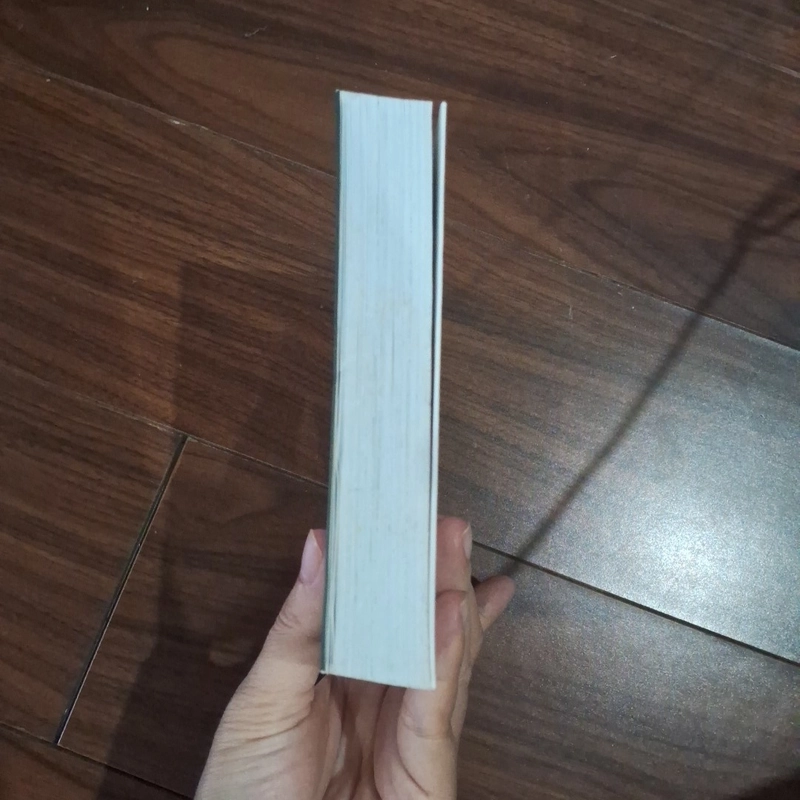 Những hòn cuội nhặt dọc đường 510229