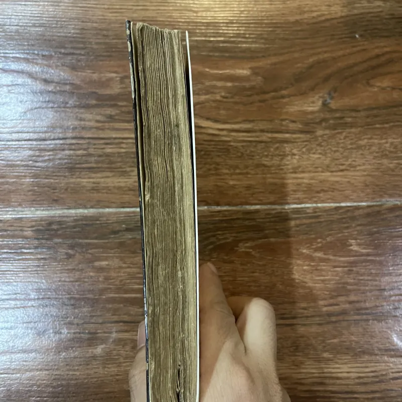 Thiền học Trần Thái Tông - Nguyễn Đăng Thục (7) 937086