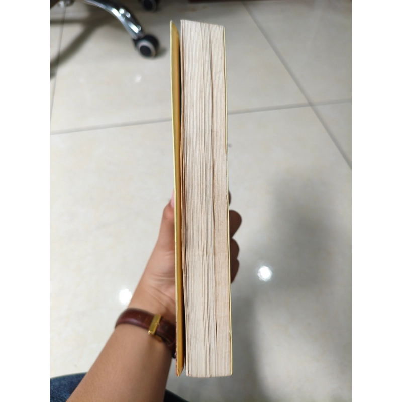 Người đưa diều 🌱 462443