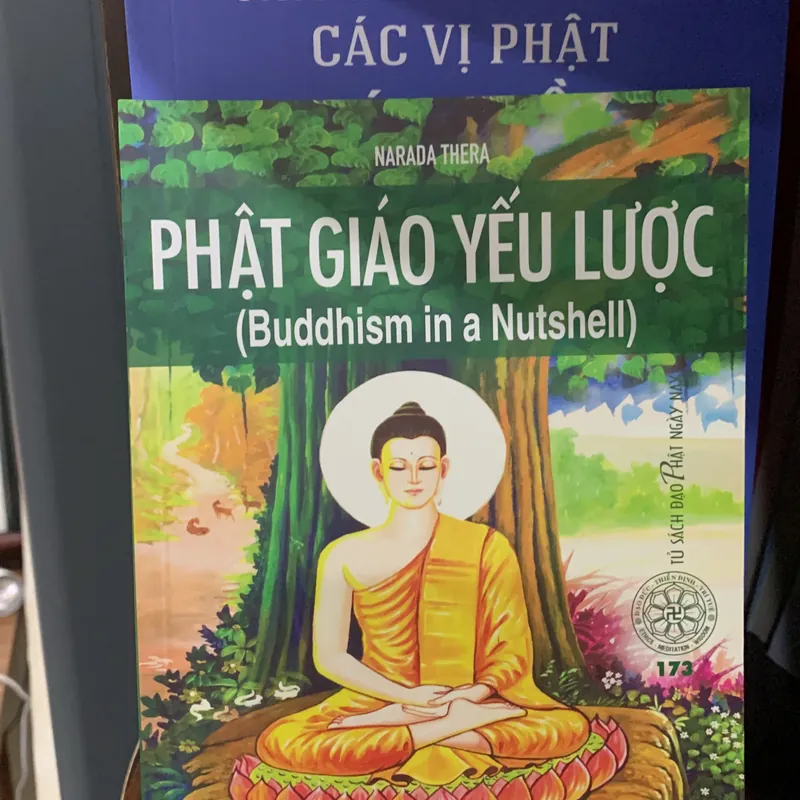 Sách Phật giáo yếu lược 594406