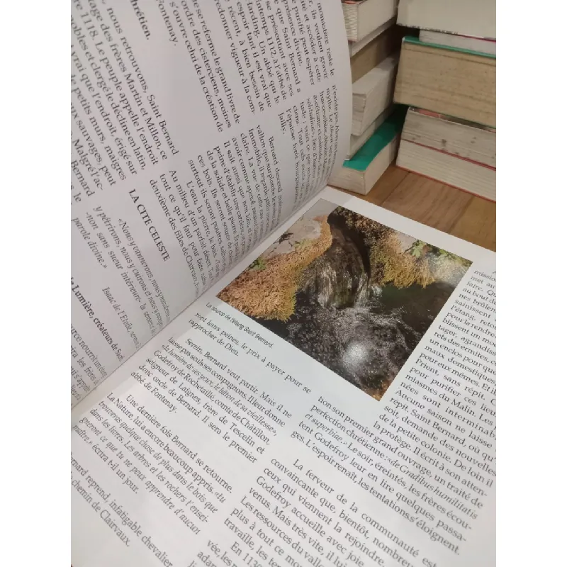 Abbaye de Fontenay - Patrick Boutevin 711519