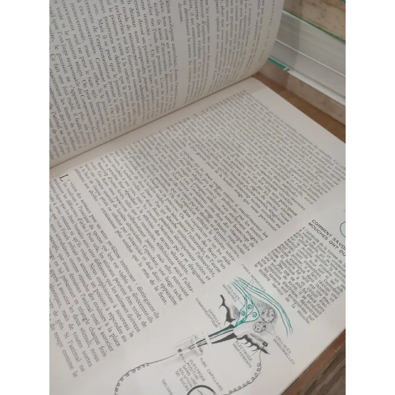 Le comportement animal - Life le monde vivant 711301