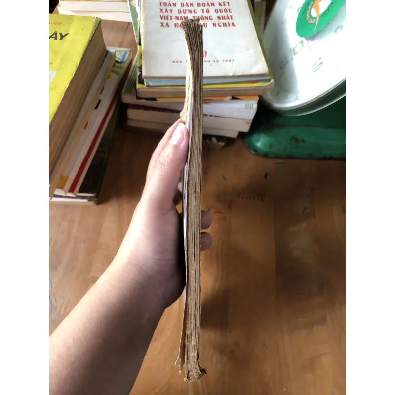 Một đôi lời-Nguyễn Khắc Viện 973861