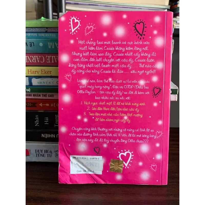 Nhật ký “say nắng” của Cassie – Fiona Foden 574884