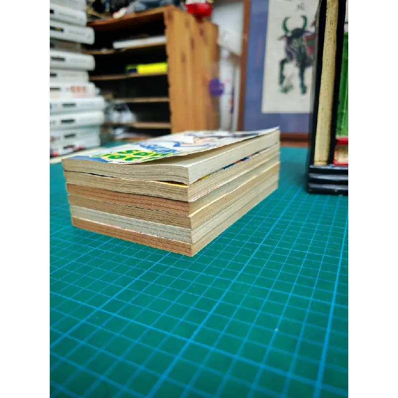 Truyện Tranh Sân Cỏ Ước Mơ (2004) 605285