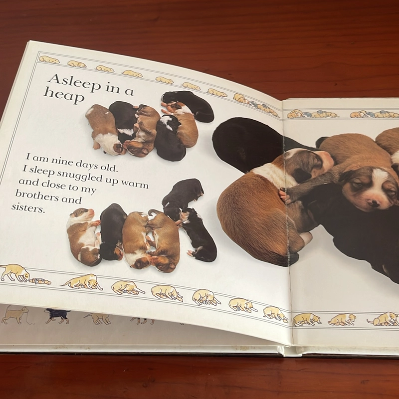 PICTURE BOOK Puppy 536725