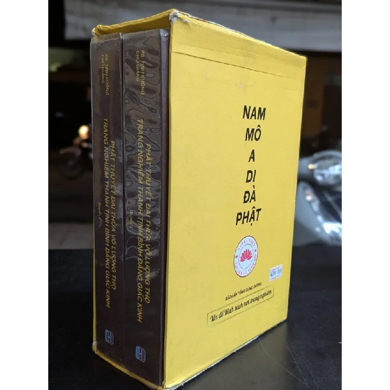Phật thuyết đại thừa vô lượng thọ, trang nghiêm thanh tịnh bình đẳng giác kinh - Cư sĩ Thiện Đức 698239