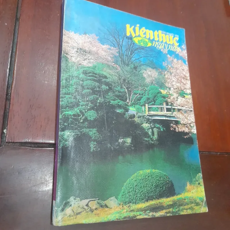 Bán nguyệt san KIẾN THỨC NGÀY NAY số 62 ngày 15-6-1991 734982