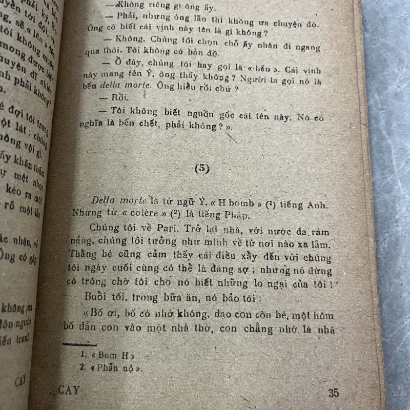 CÂY NOEL - LÊ HỒNG SÂM 363943