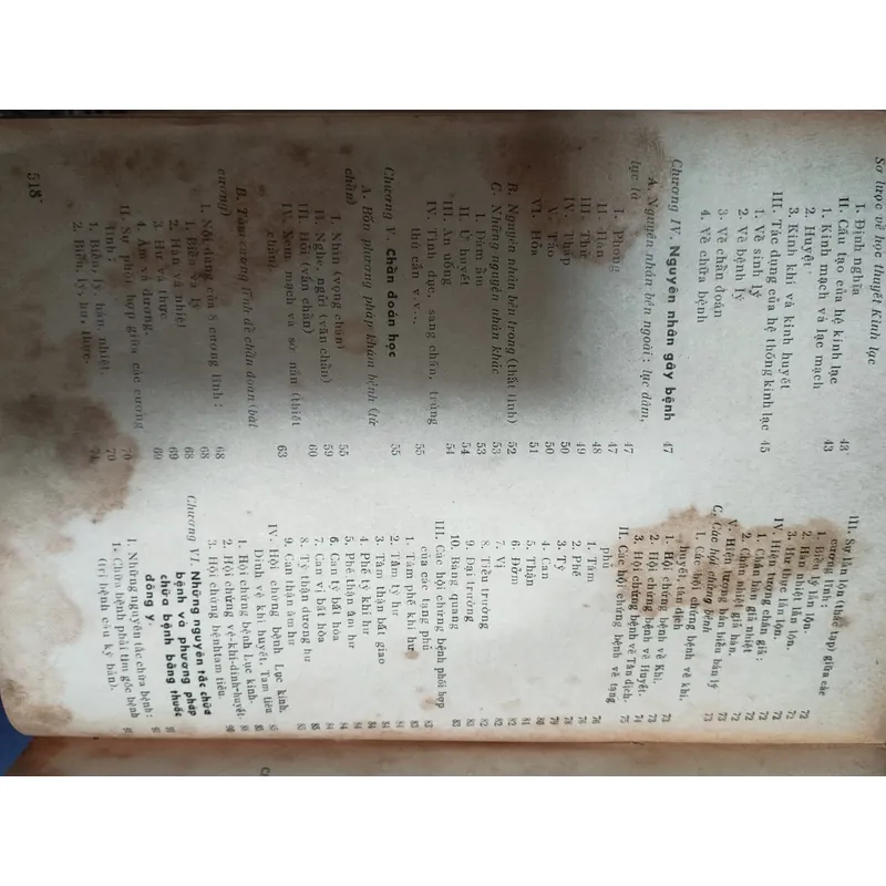 Bài giảng Đông Y 601208