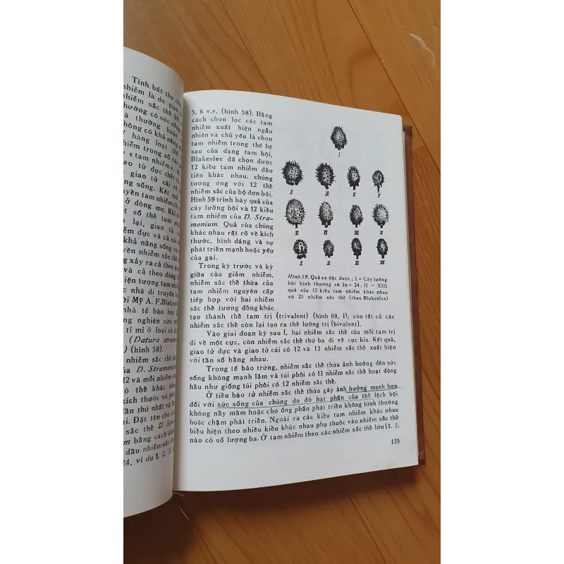 DI TRUYỀN HỌC VÀ CHỌN GIỐNG  785780