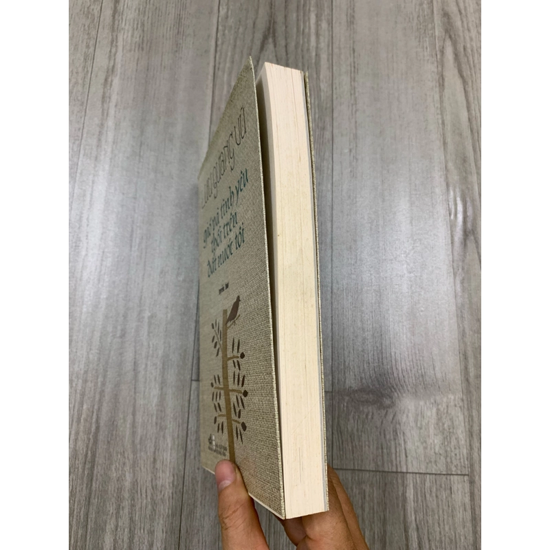Gió và tình yêu thổi trên đất nước tôi. 999 471273