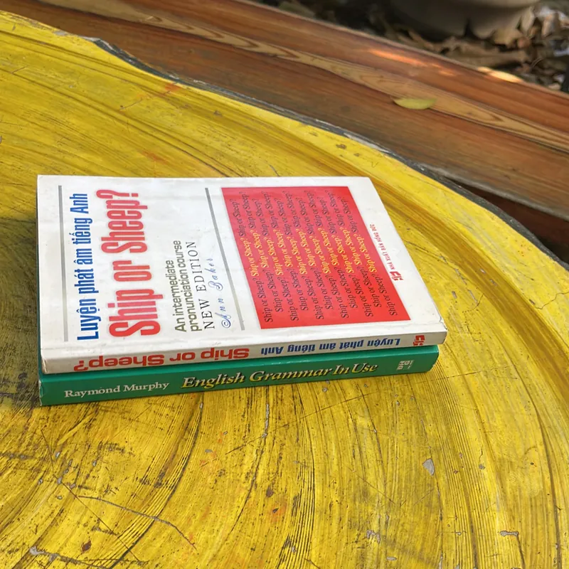 COMBO ENGLISH GRAMMAR IN USE & LUYỆN PHÁT ÂM TIẾNG ANH SHIP OR SHEEP? 130 đề mục Ngữ pháp 737750
