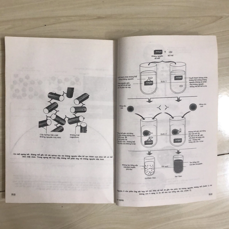 VI SINH VẬT HỌC  335830