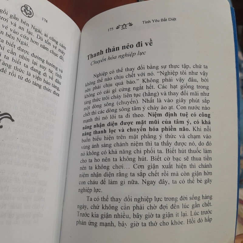 Chân Pháp Đăng - TÌNH YÊU BẤT DIỆT 381883