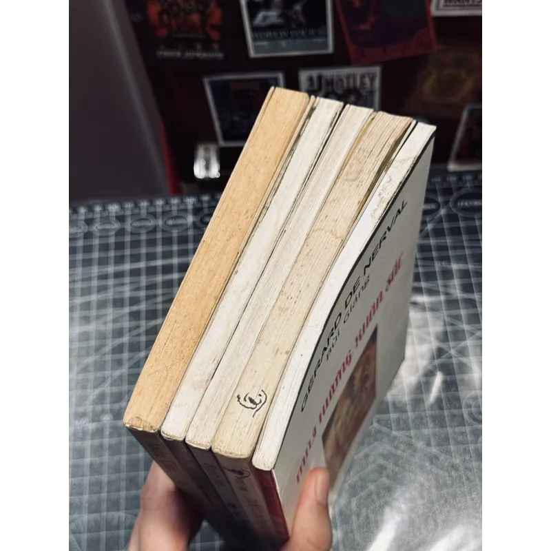 Combo 5c Bùi Giáng 693513