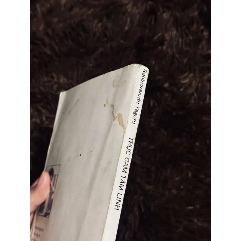 Trực cảm tâm linh 714518