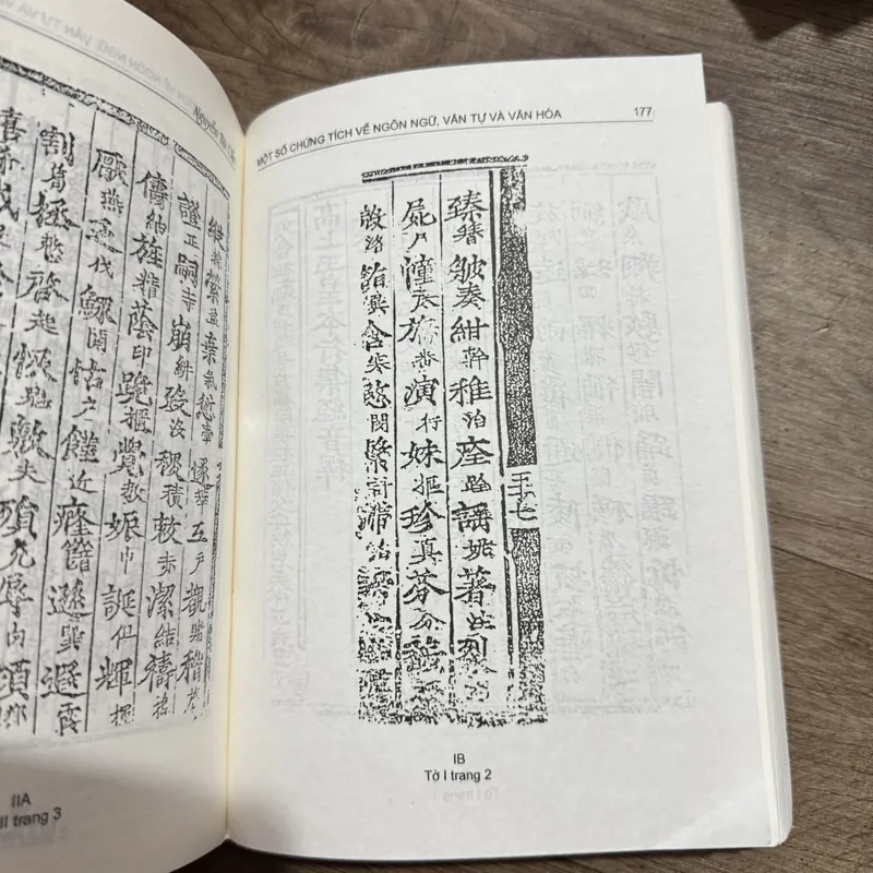 Một số chứng tích về ngôn ngữ ,văn tự và văn hoá 574926