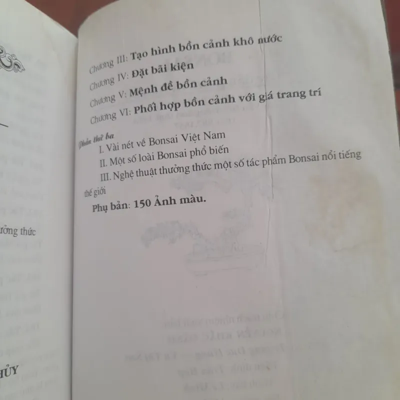BONSAI Cây dáng, thế và Non bộ 751882