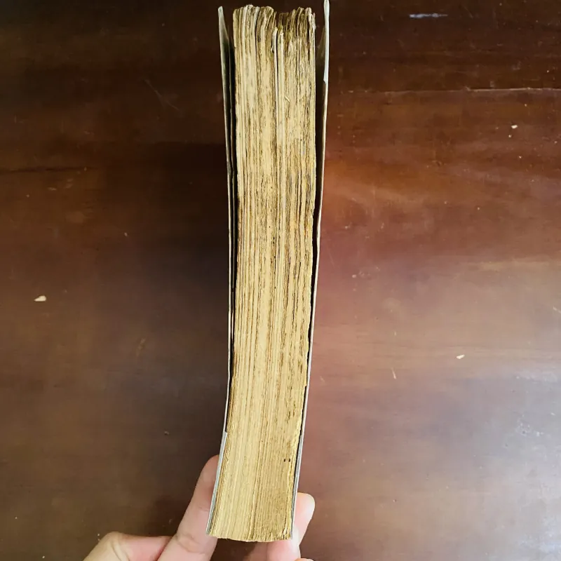 Hán văn - Trần Trọng San (năm 1971) 790342