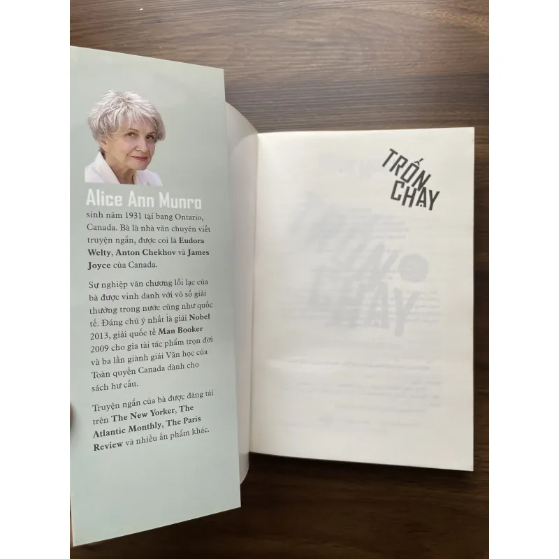 Trốn chạy - Alice Munro 975001