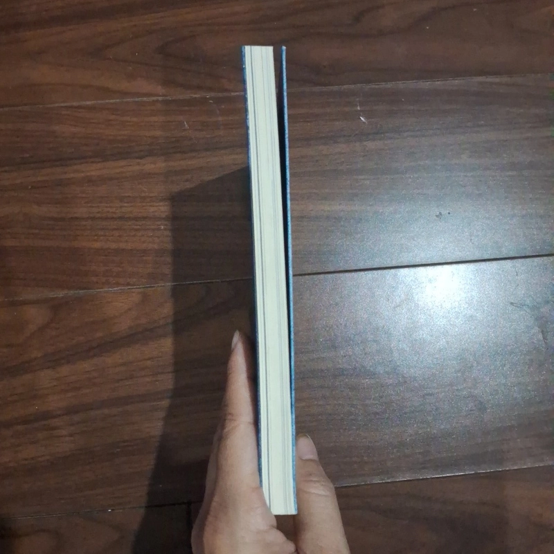 Người bạn ảo ảnh 524077